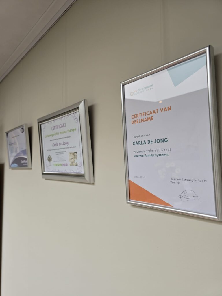 praktijkervaring – gevolgde   trainingen